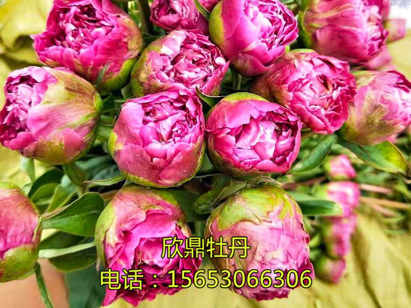 戳我试试