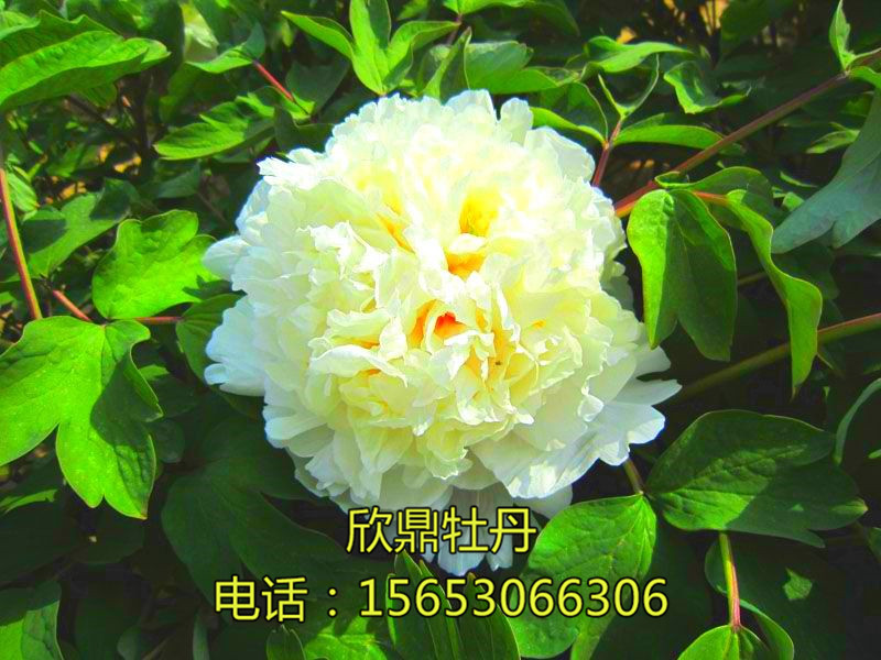 戳我试试