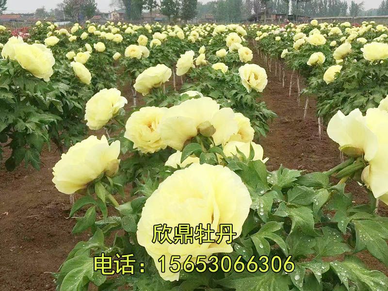 戳我试试